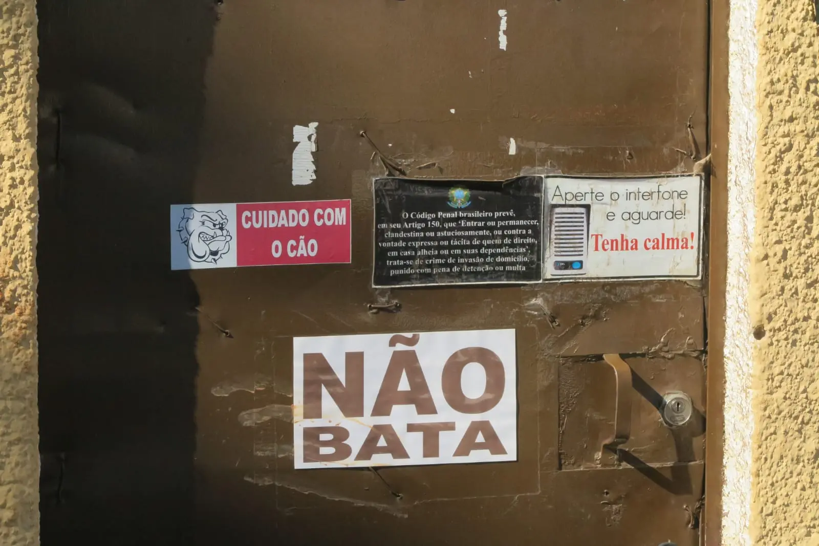 Clínica foi fechada pela Polícia Civil. Local tinha cães e porcos