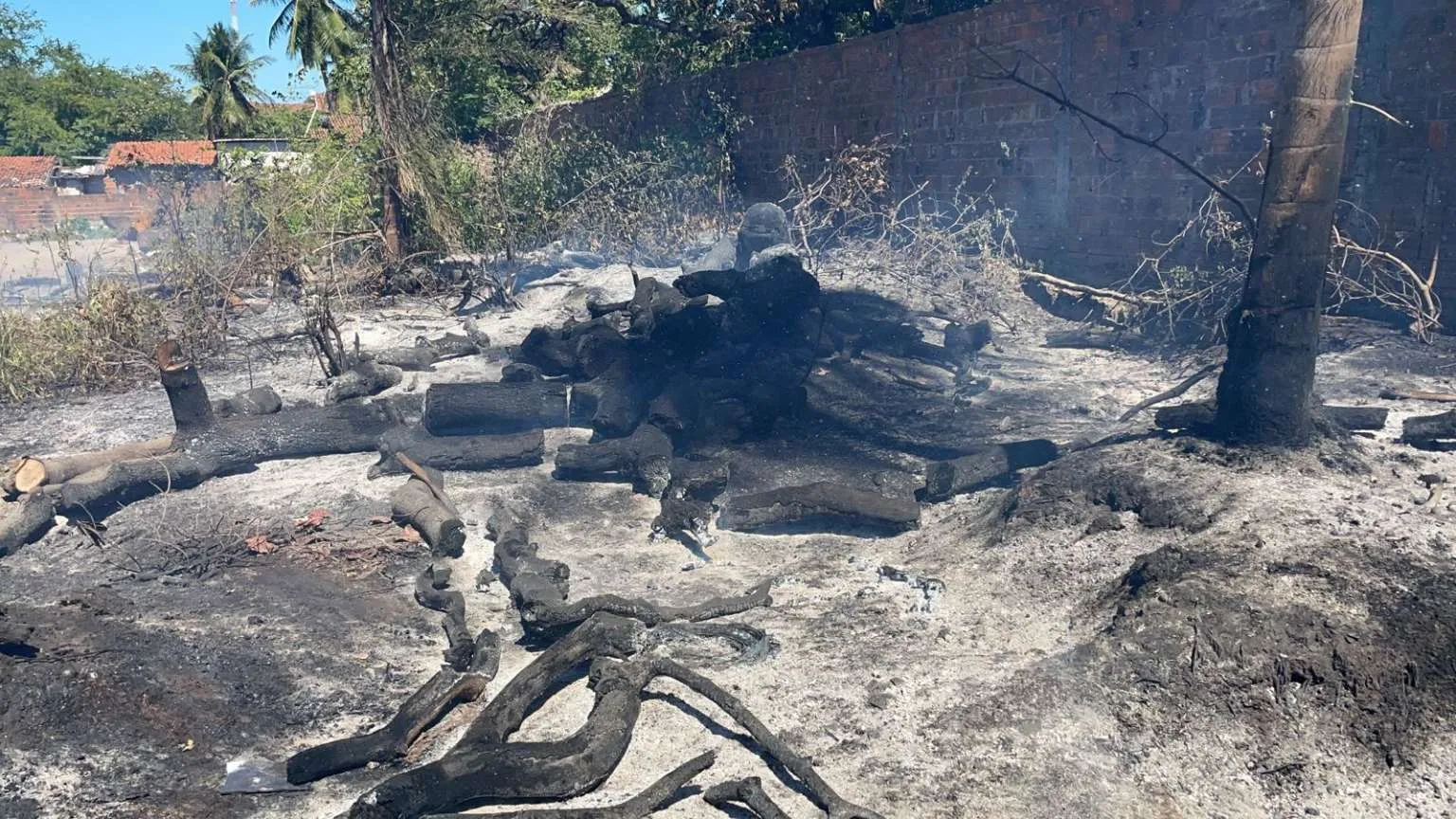Incêndio começou na vegetação e, com a ação do vento, atingiu o galpão