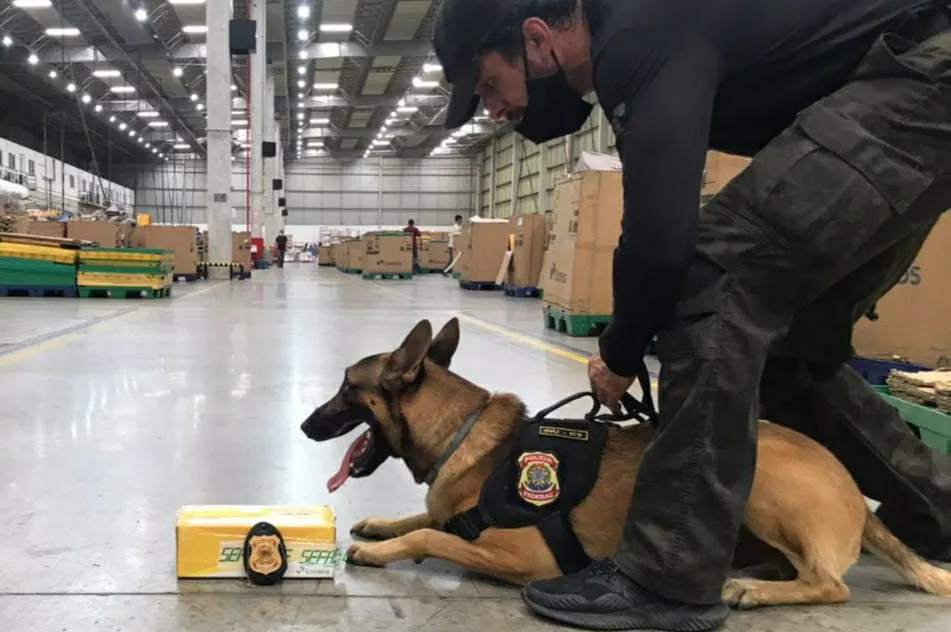 O cão, chamado Inu, indicou o item com a droga aos agentes