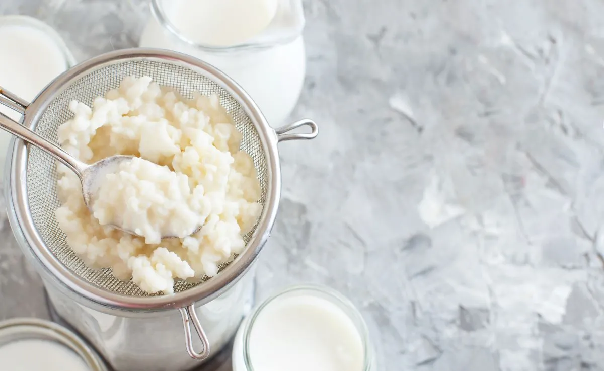 Kefir é um tipo de probiótico