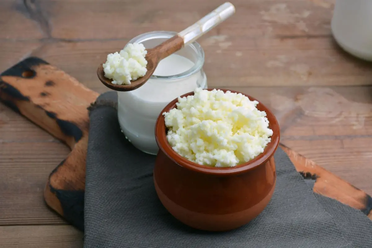 Grãos de kefir em barro ao lado do kefir já fermentado com leite