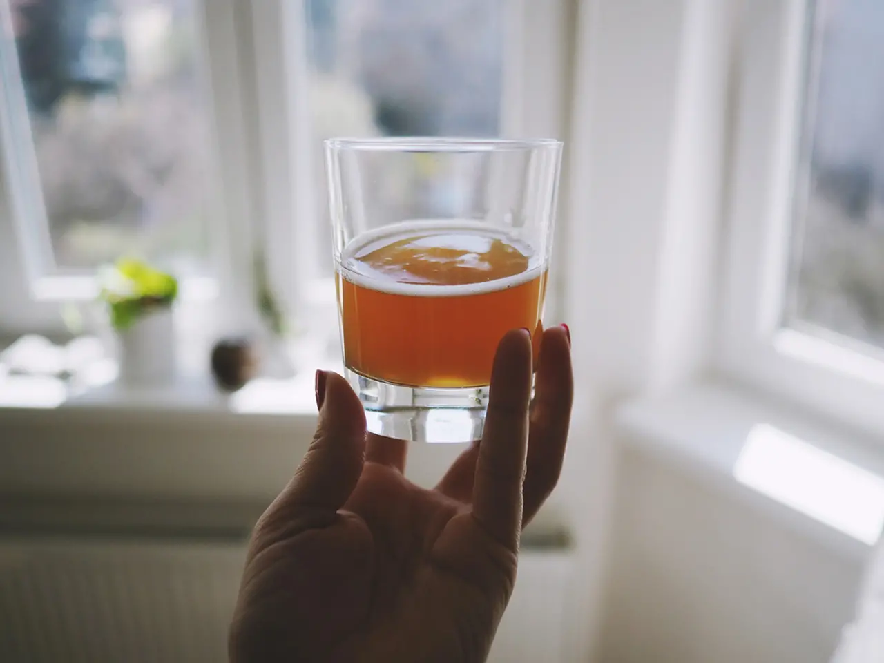 kombucha em um copo de vidro