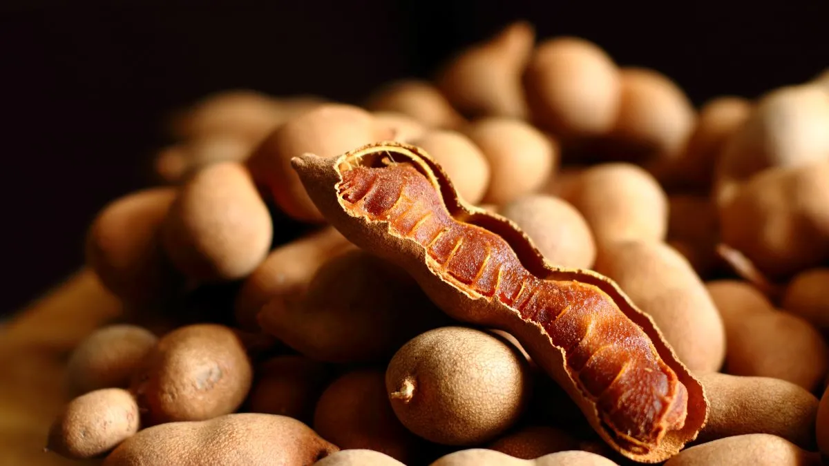 A semente do tamarindo possui diversos nutrientes