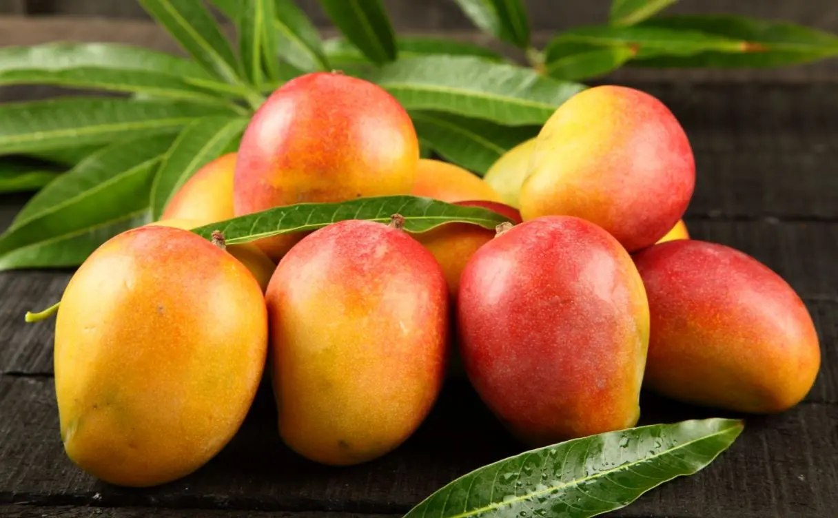 Mangas rosas ao lado de folhas de mangueira