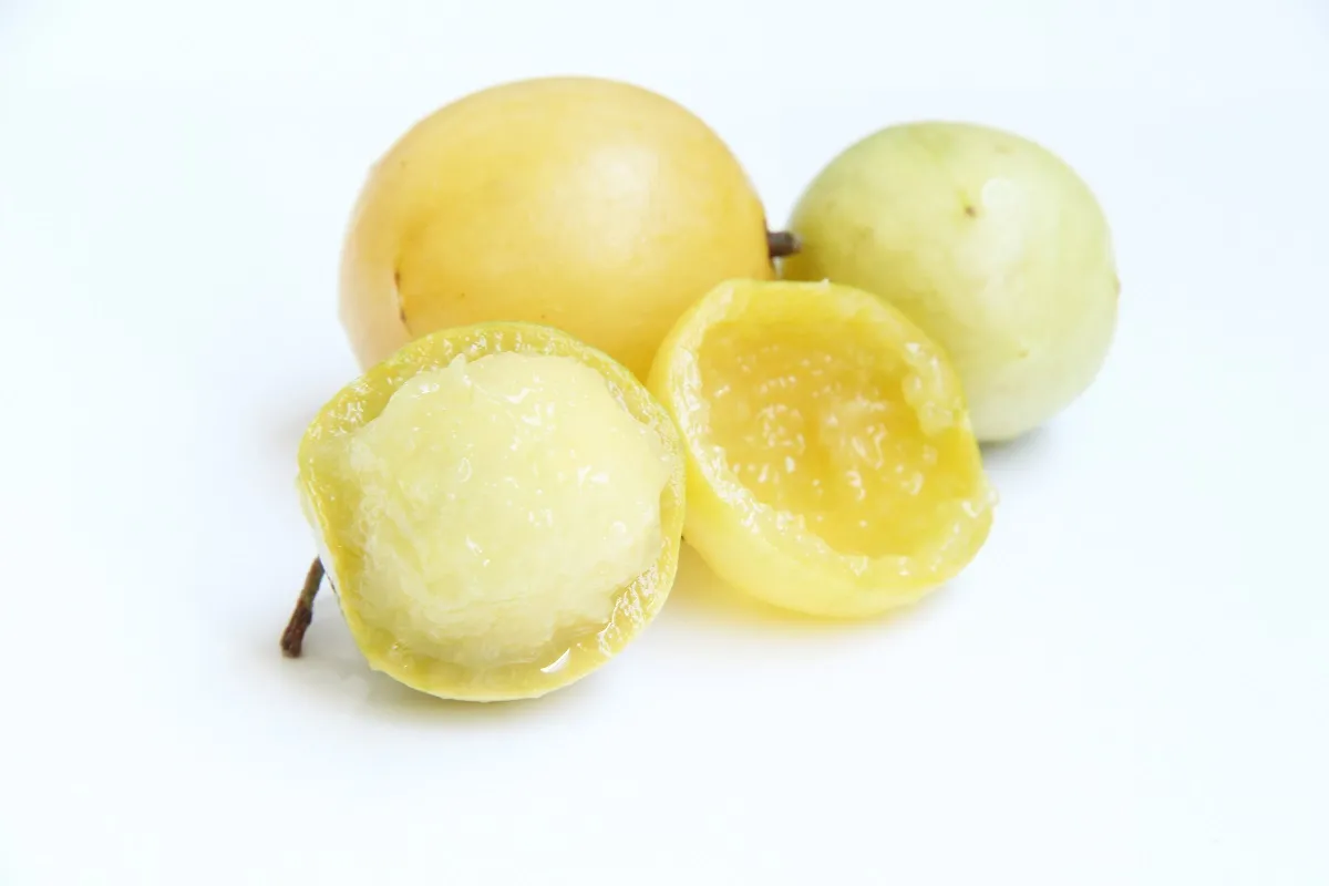 Polpa da fruta é suculenta e agridoce