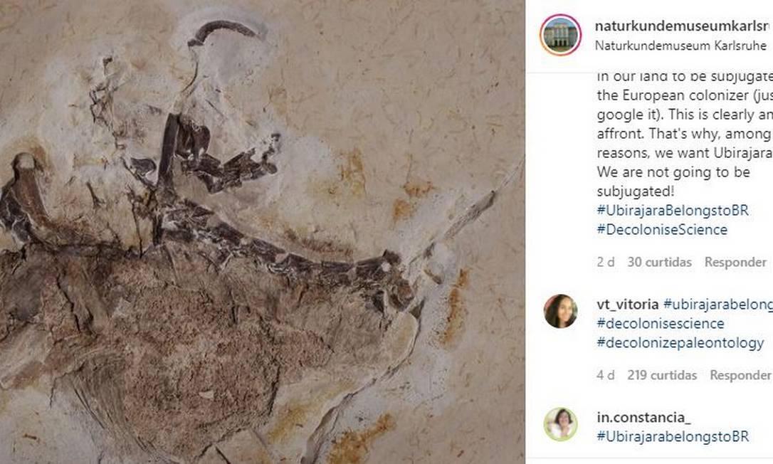 Museu alemão se manifesta sobre repatriação de fóssil do dinossauro encontrado no Ceará