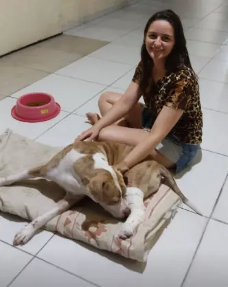 Reencontro com Heitor