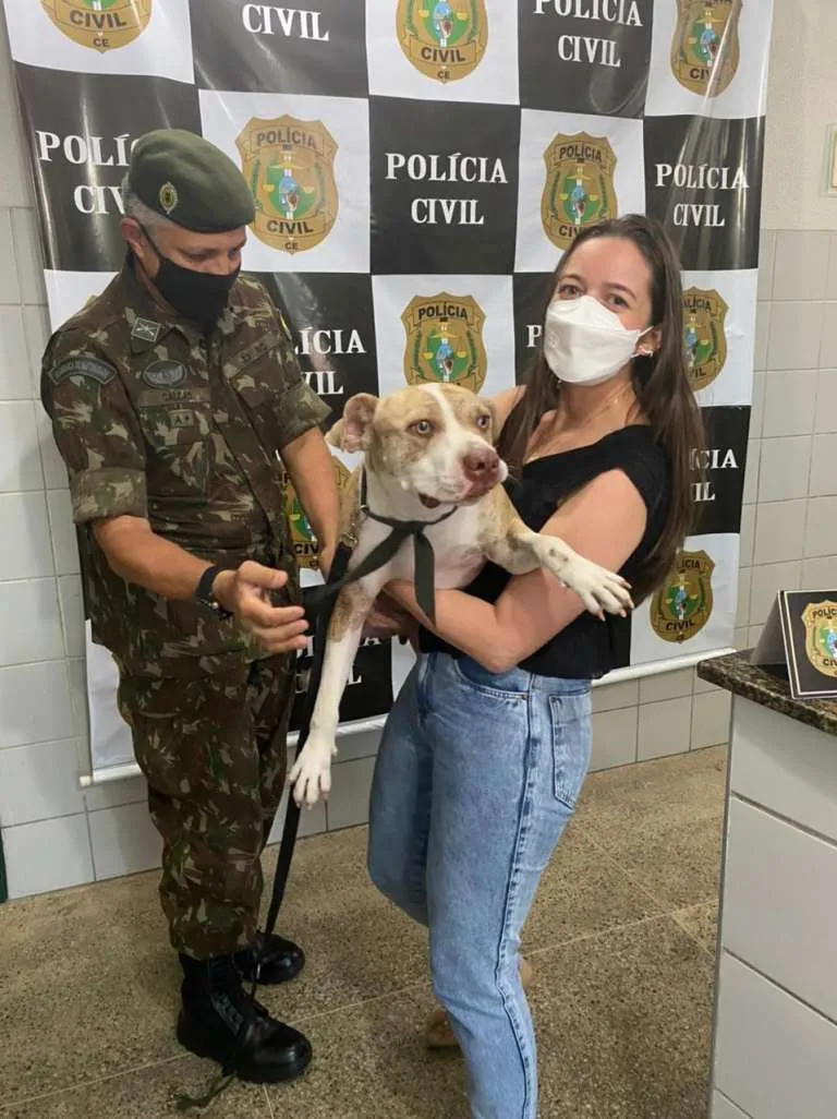 As câmeras de videomonitoramento possibilitaram a identificação do veículo do subtenente do Exército Brasileiro que resgatou o animal