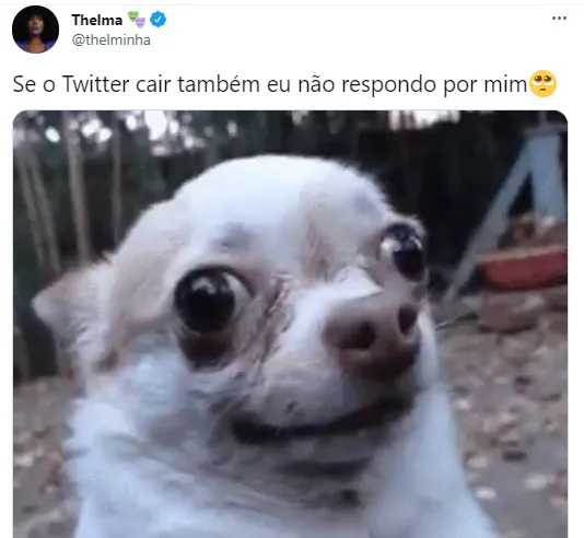 A vencedora do BBB 20, Thelma Assis comentou a queda dos aplicativos