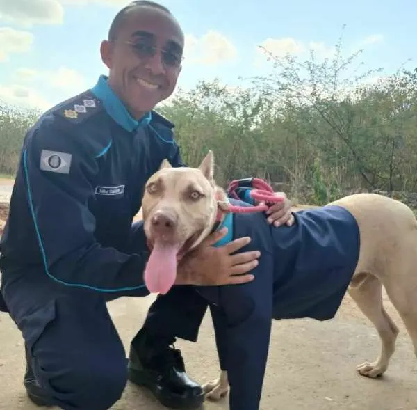Cachorro foi adotado e ganhou até fardamento dos policiais militares