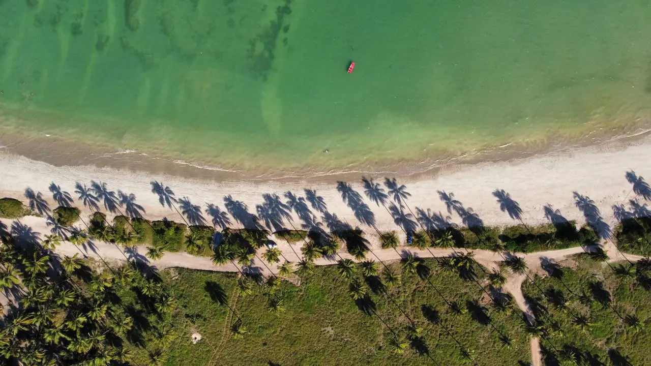 Vista aérea da praia de são miguel dos milagres