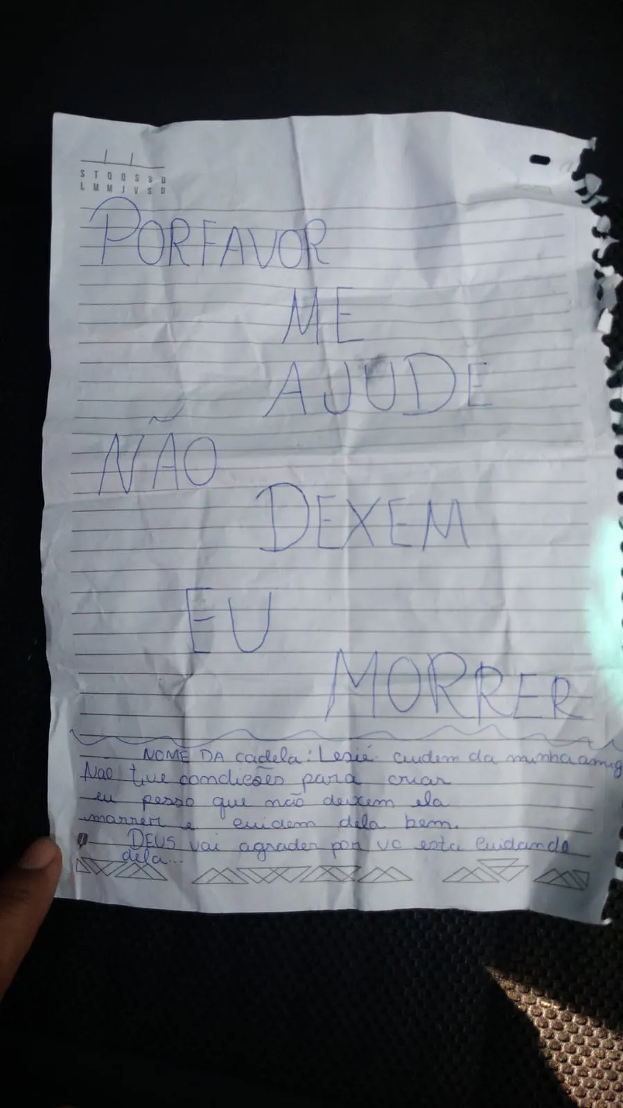 Segundo o autor do documento, o nome da cachorra é 