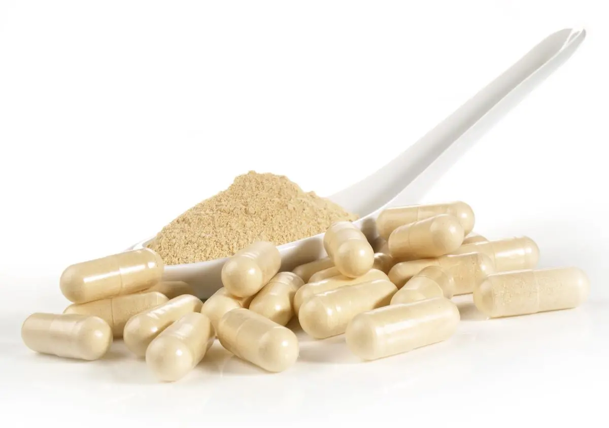 Pó e cápsulas com maca peruana