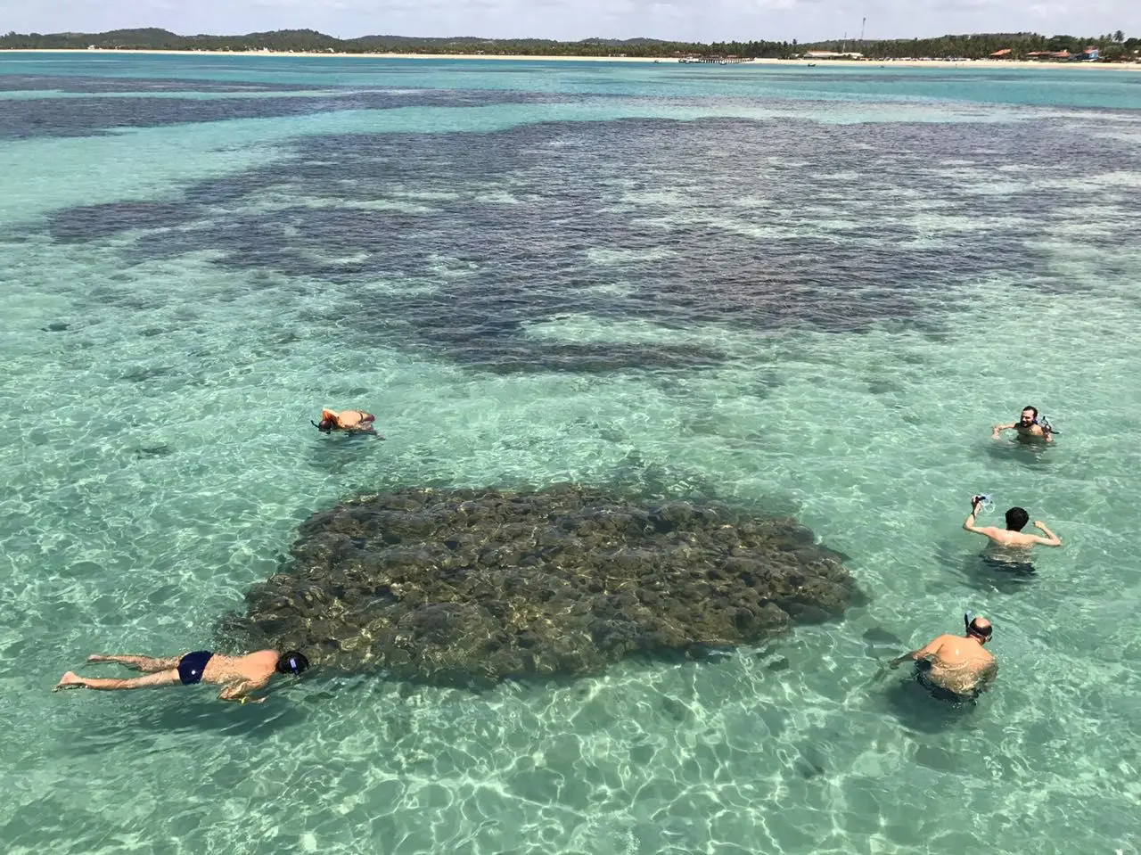 Pessoas mergulhando na praia dos carneiros