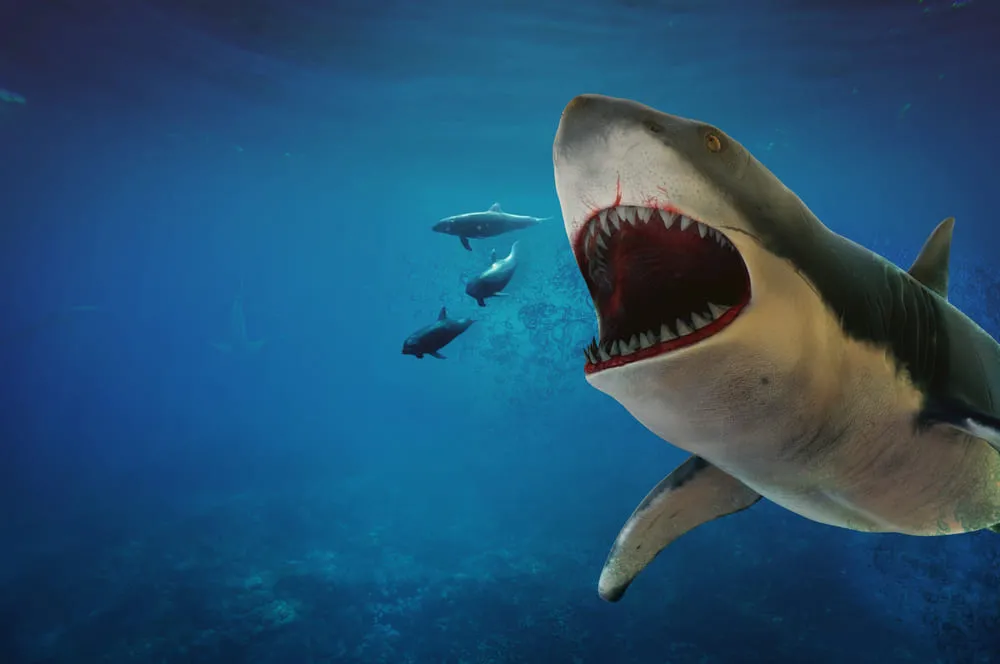 O megalodon tinha uma mandíbula que o permitia se alimentar de grandes presas, como baleias, golfinhos, grandes peixes e até outros tubarões