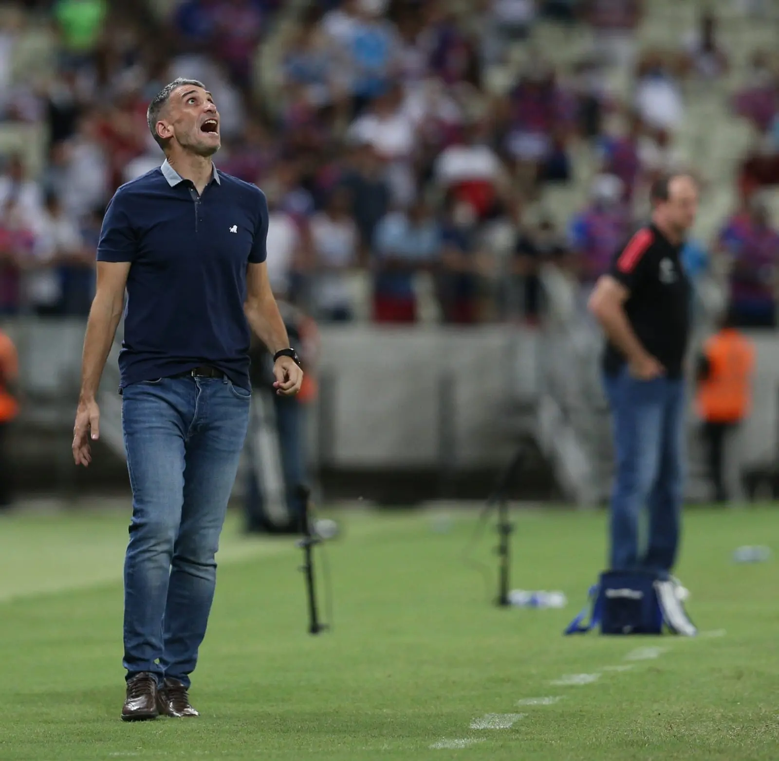 Vojvoda reclama observado por Ceni