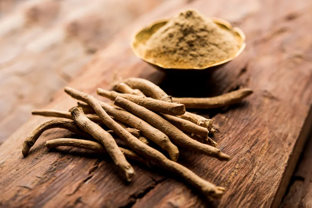 O ginseng indiano também é conhecido como Ashwagandha ou cereja do inverno