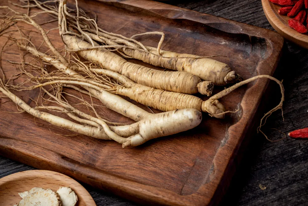 Embora apresente uma série de benefícios à saúde, há pessoas que não podem consumir o ginseng