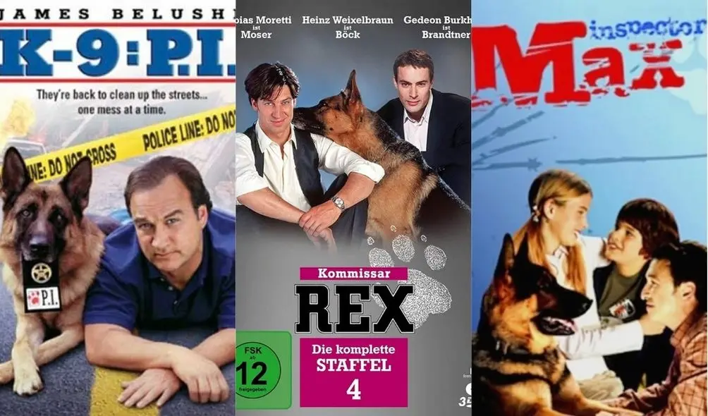 Montagem com pôsteres da série 