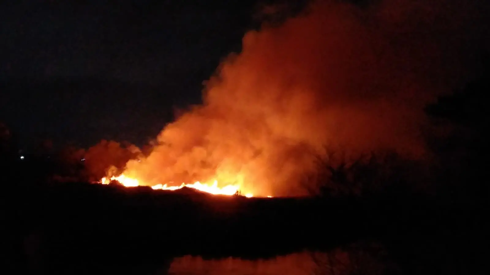 incêndio no parque do cocó