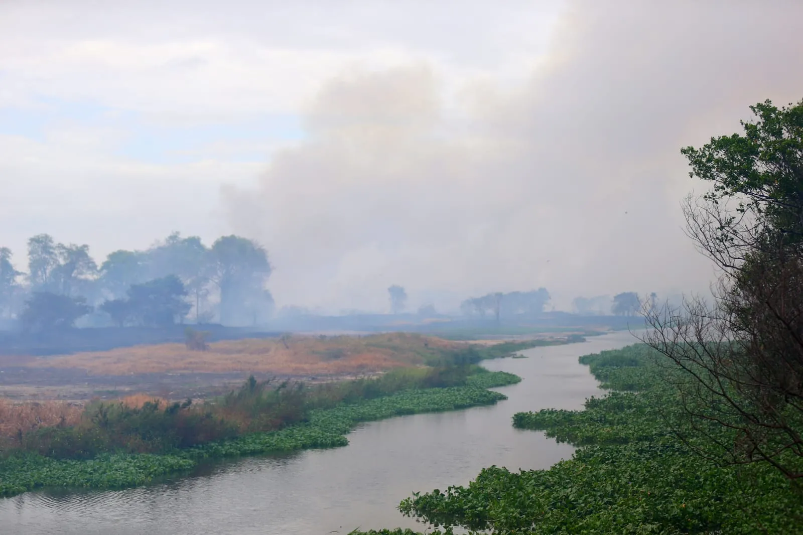 Bombeiros ainda debelam focos remanescentes do incêndio