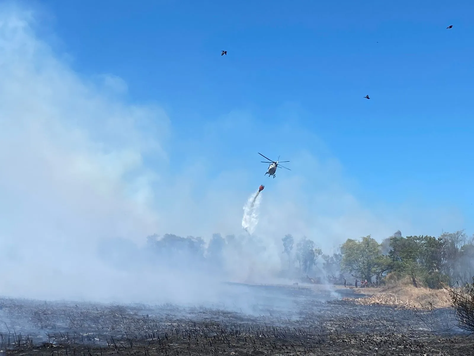 Helicópteros da Coordenadoria Integrada de Operações Aéreas (Ciopaer) carregam água e jogam na área afetada.