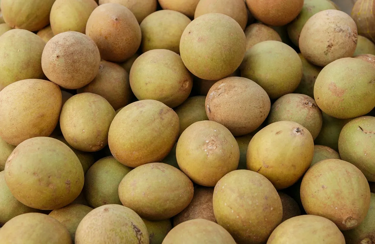 Fruta é usada no preparo de sucos, doces, geleias e compotas