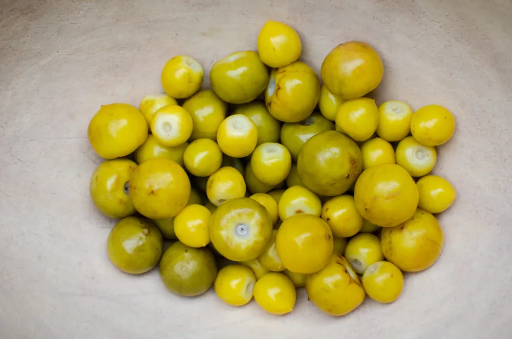 A fruta é consumida in natura ou cristalizada, e a polpa é utilizada para refrescos, sorvetes, cremes, iogurtes, doce em pasta e licores sendo também consumida misturada com farinha de mandioca