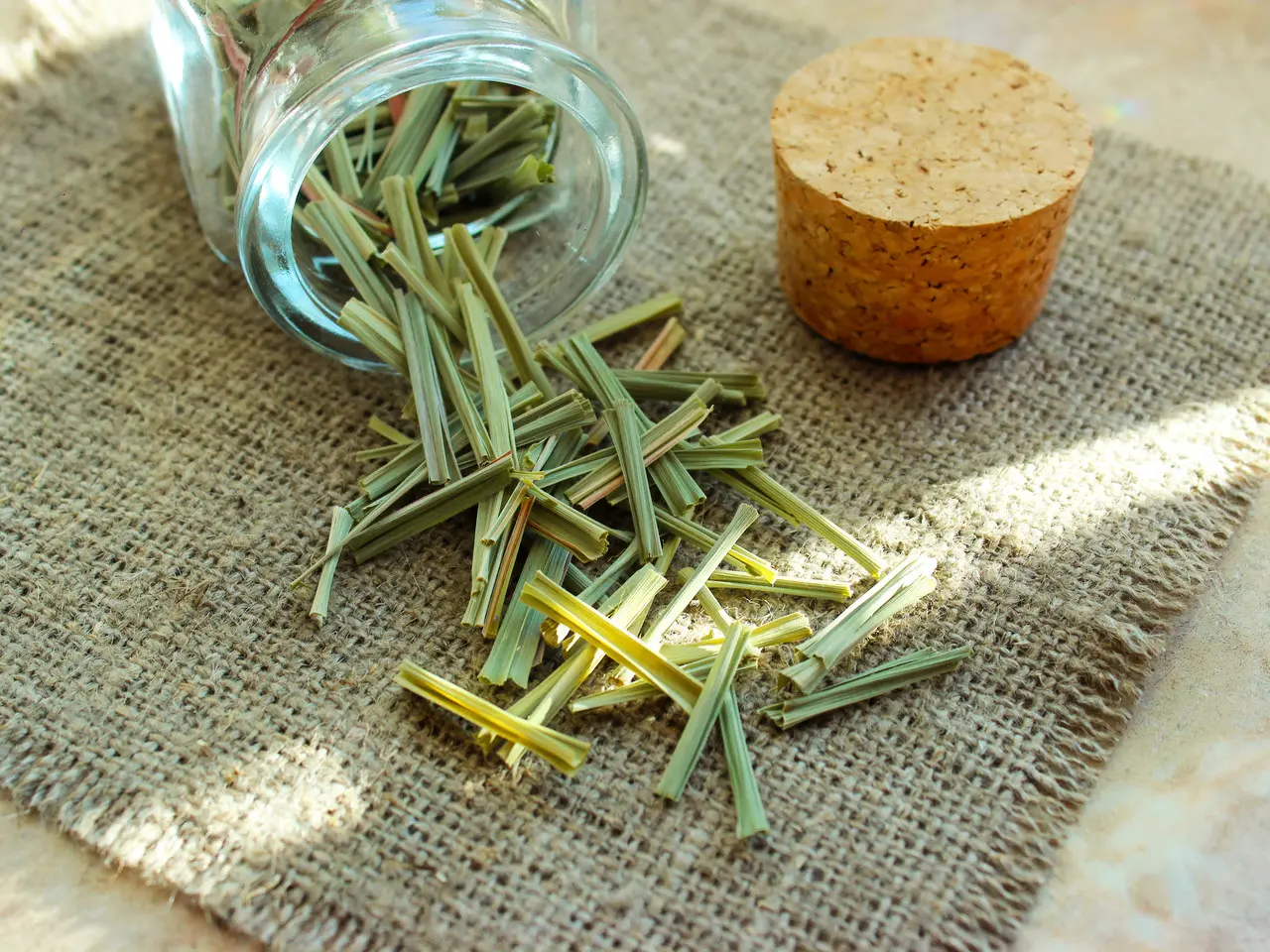 capim-cidreira no pote