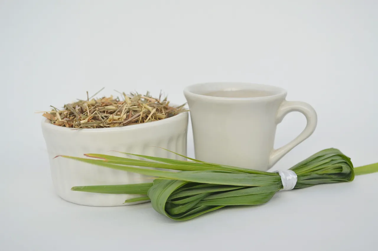 O capim santo é rico em terpenos, flavonoides e compostos fenólicos