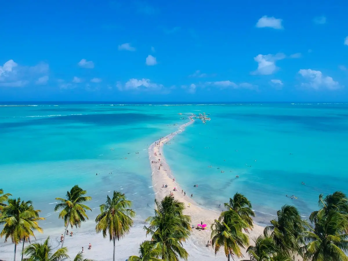 Vista aérea de praia de Maragogi