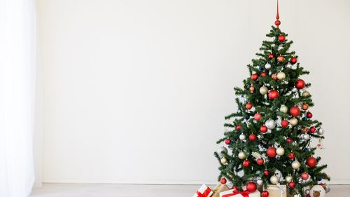 Todas as árvores de Natal são bregas — e lindas - Lira Neto - Diário do  Nordeste