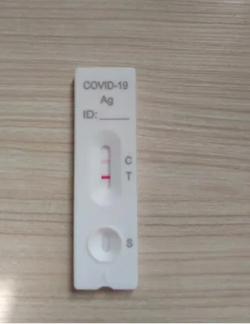 Resultado de autoteste feito por cearenses