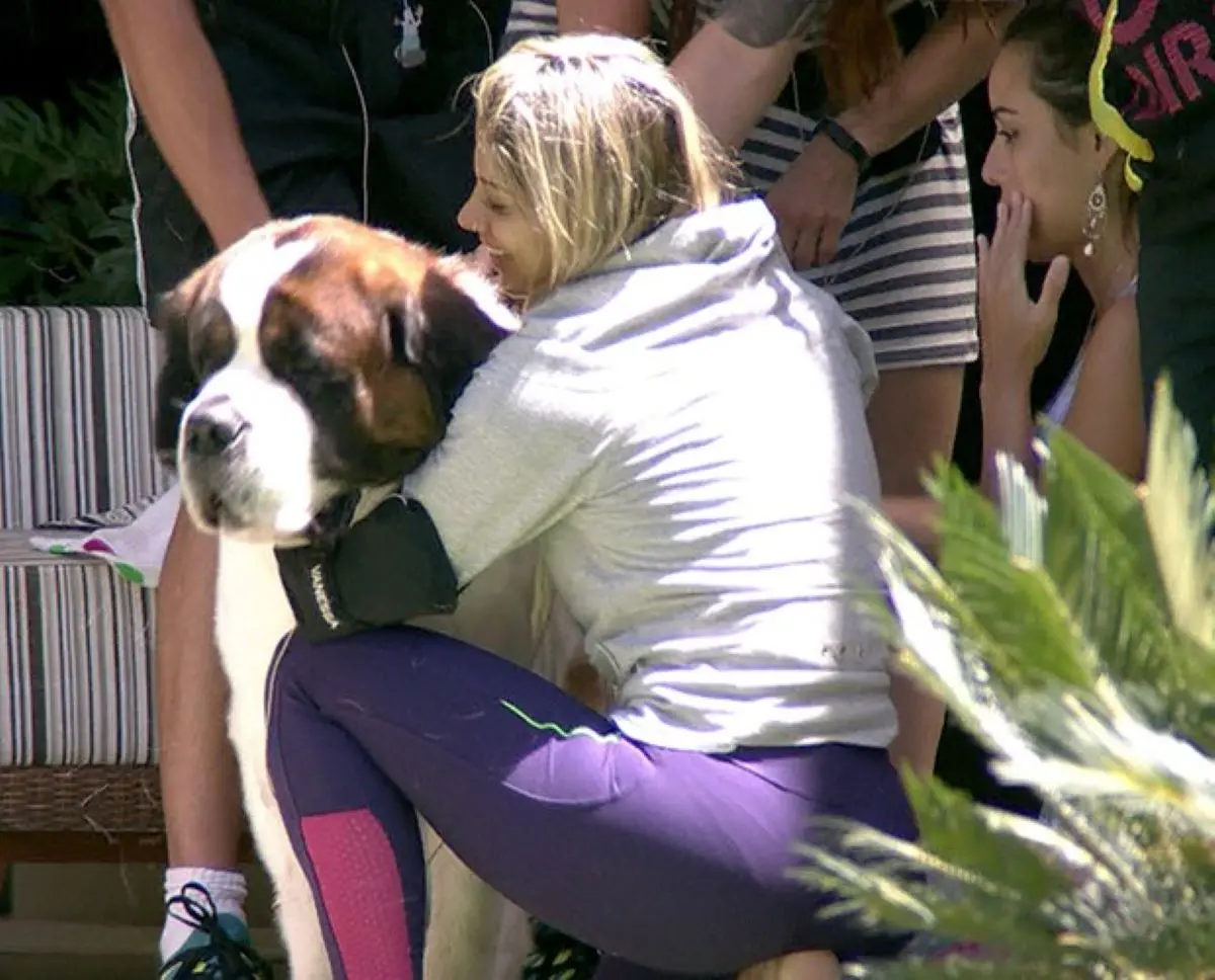 Cachorro no bbb 14