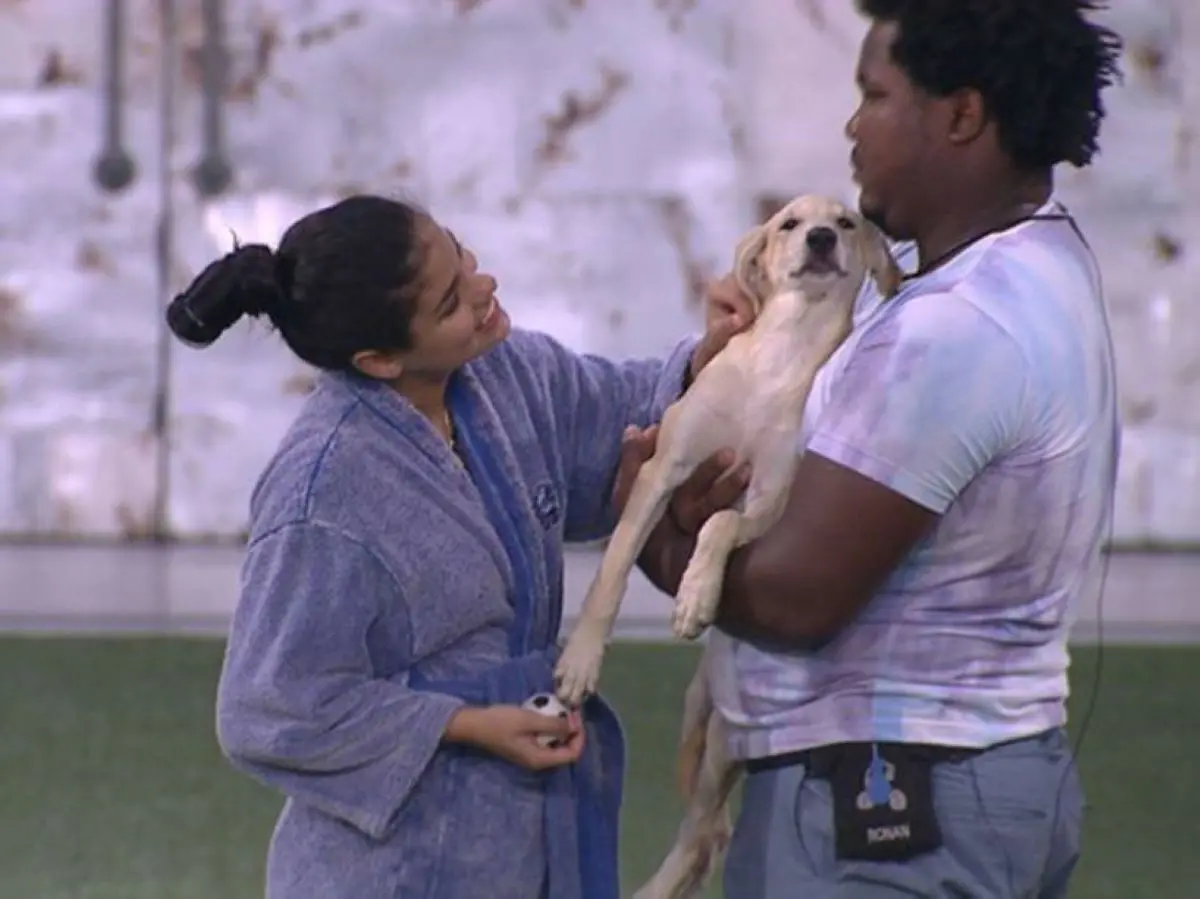 cachorra luna no bbb 16 com munik e ronan