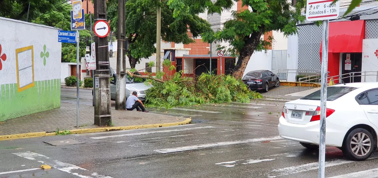 Árvore caiu em cima de veículo na Avenida Padre Antônio Tomaz, esquina com Coronel Jucá