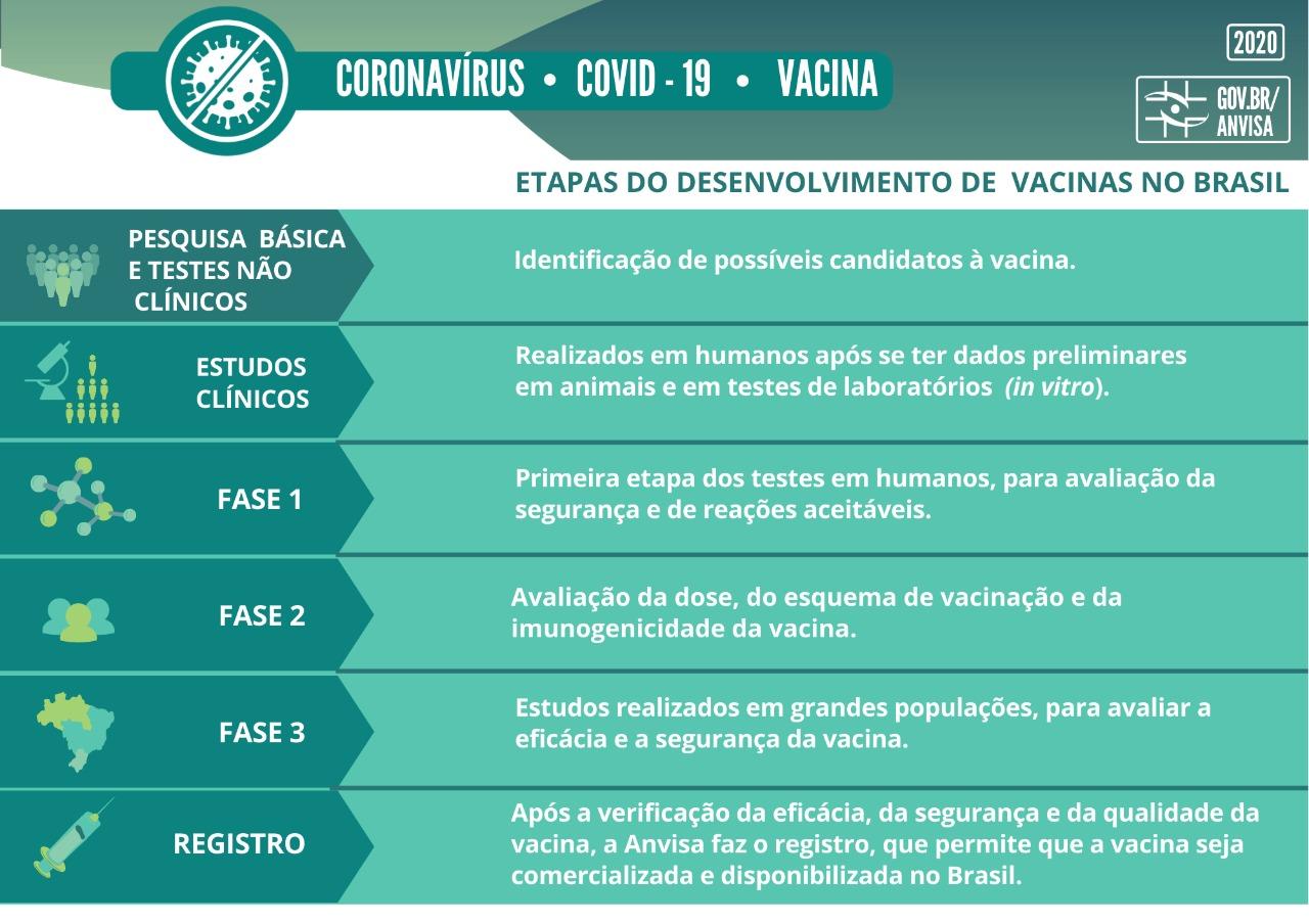 etapas vacinas