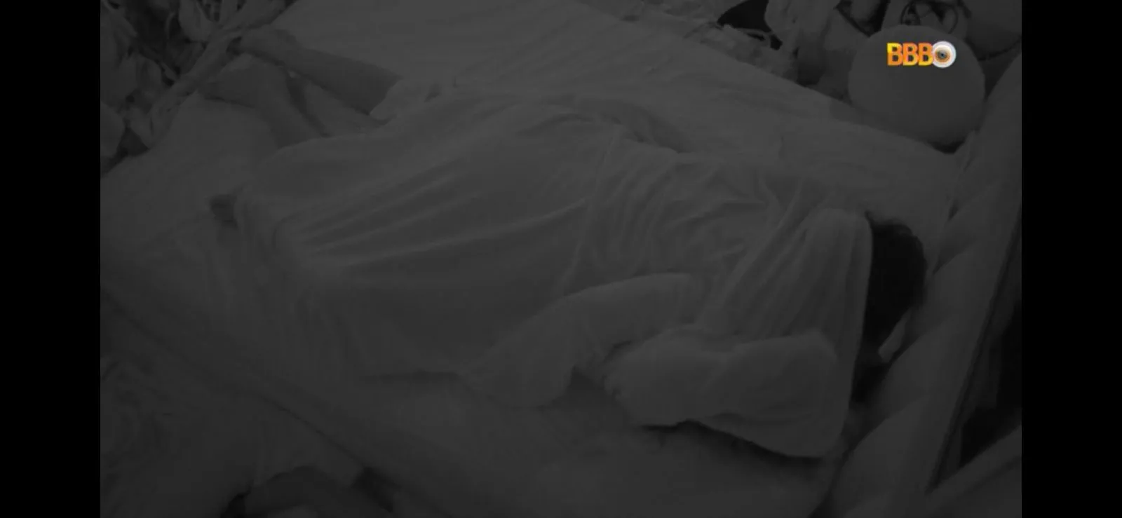 O casal foi o primeiro da edição a 