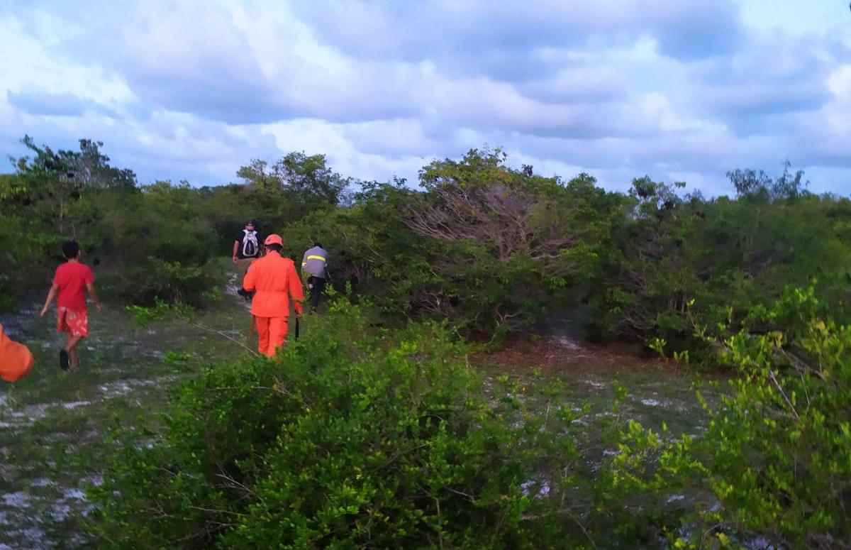 Bombeiros fazem busca por idosa desaparecida em zona de mata fechada em Acaraú