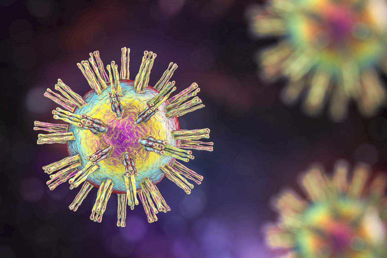 imagens do vírus da herpes em fundo colorido