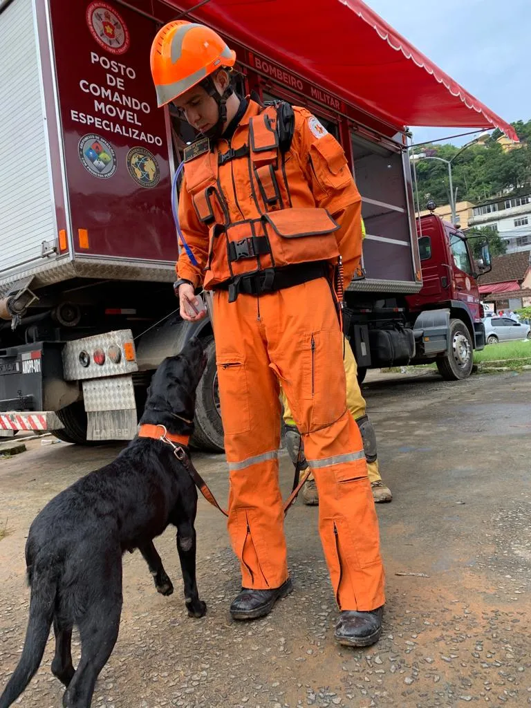 Cães darão suporte nos resgates de vítimas