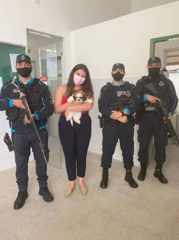 Filhote voltou à companhia da tutora dois dias depois de ser furtado