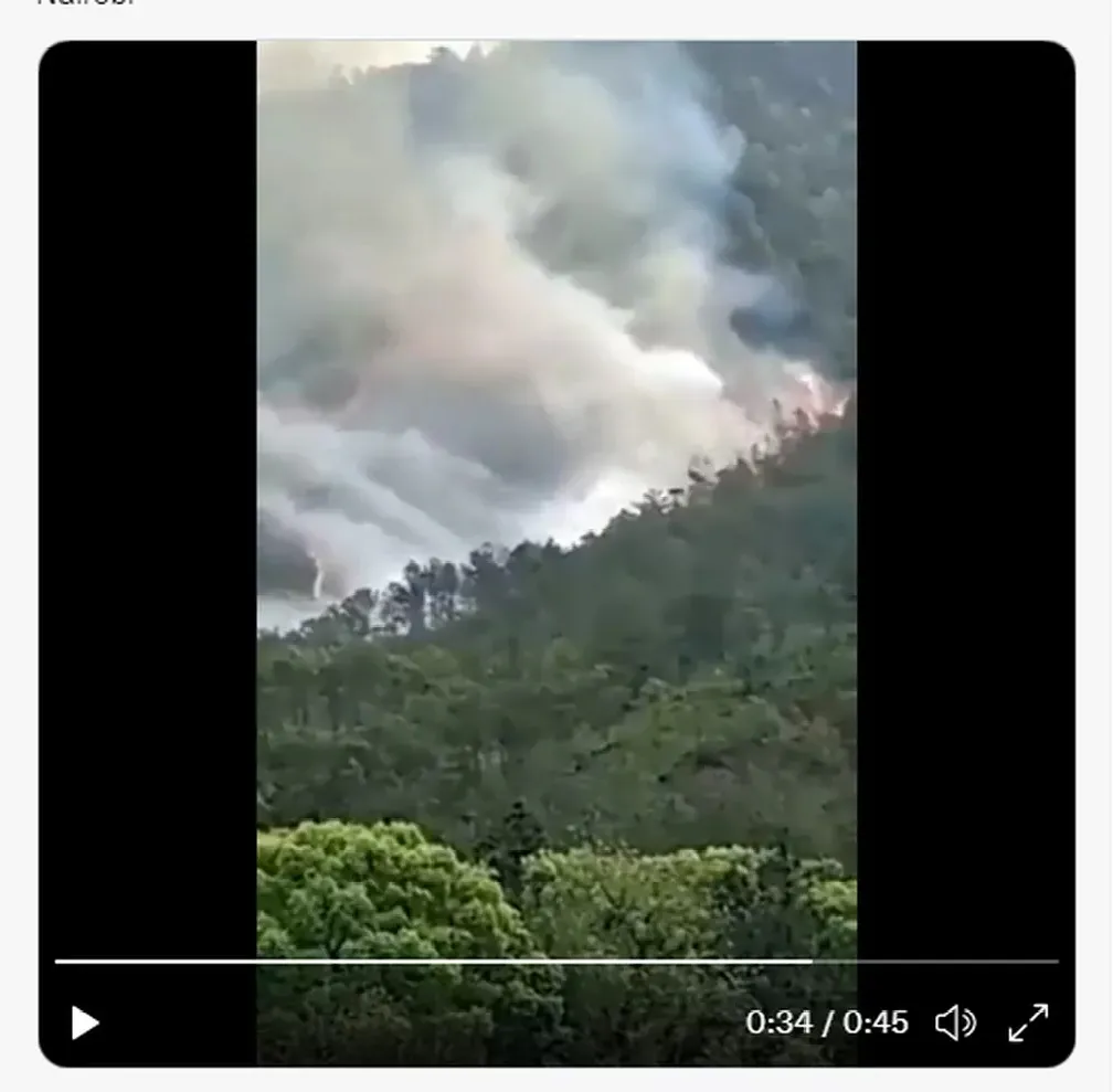 Fumaça é vista no local onde o avião caiu