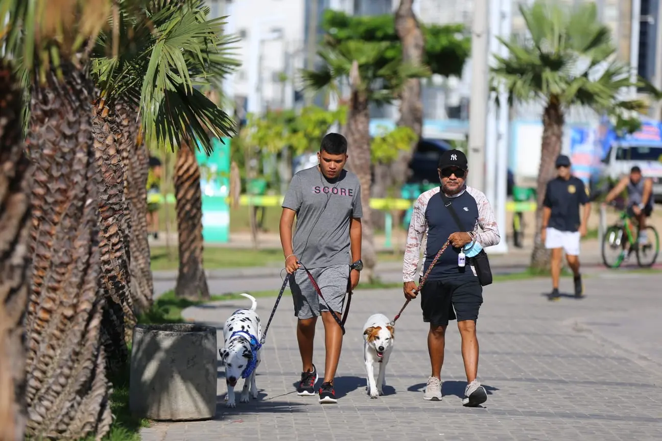 máscara em fortaleza é obrigatória