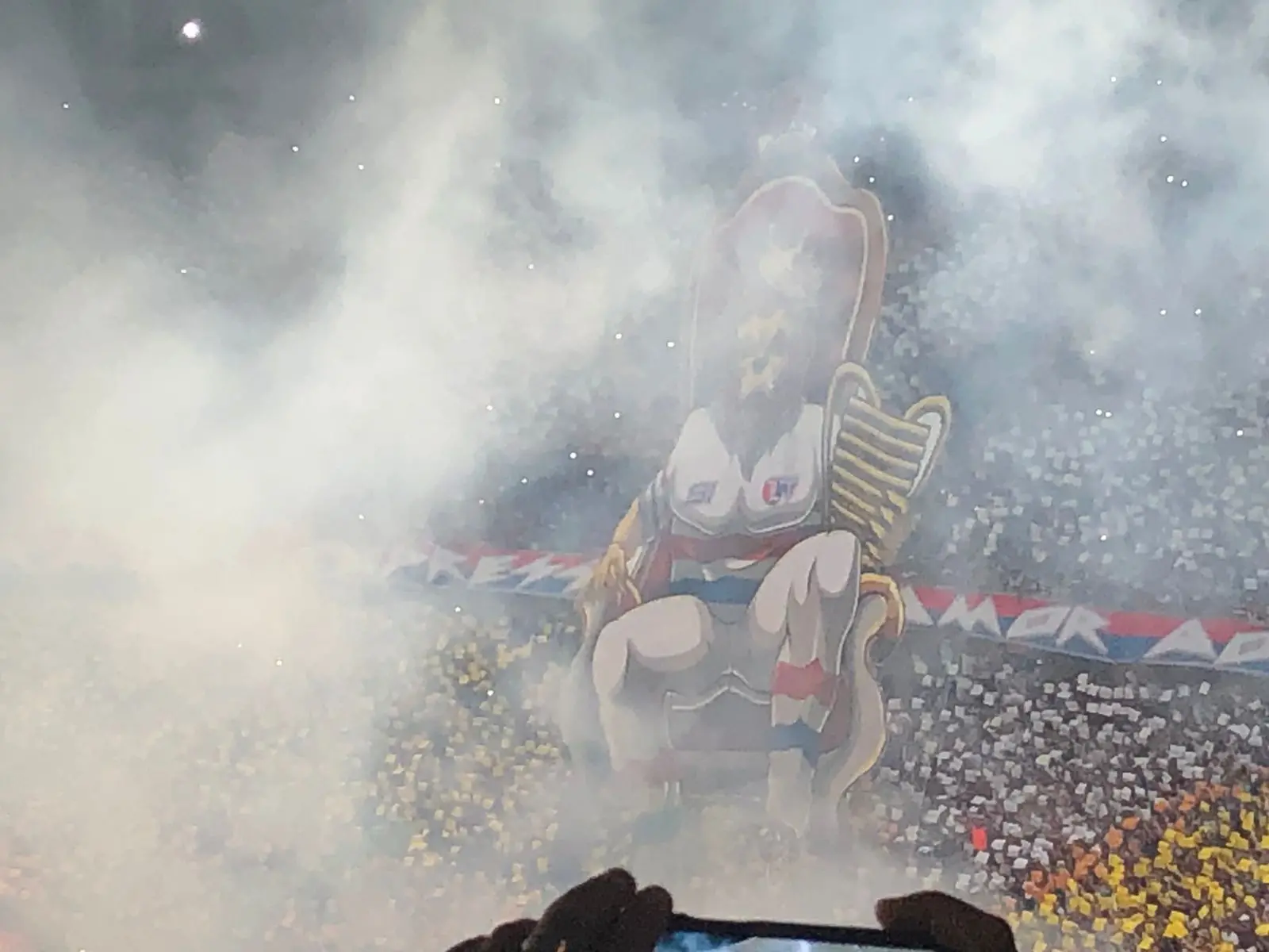 Mosaico de Rei Leão do Fortaleza