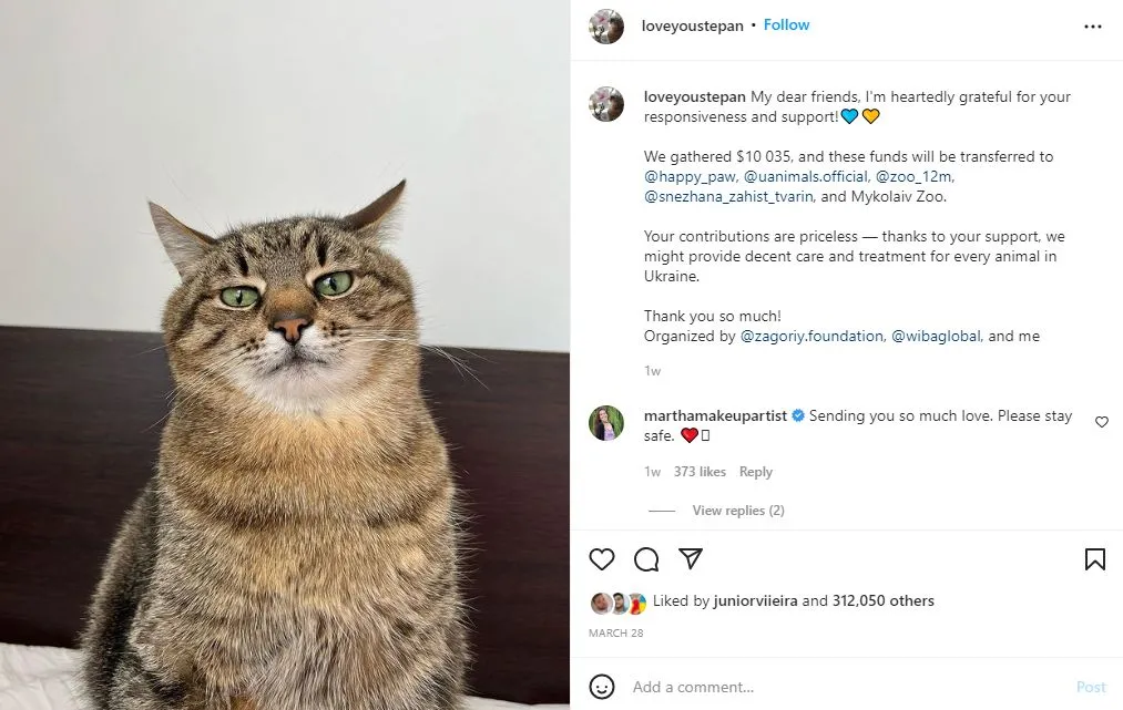Perfil do gato comemorou as doações