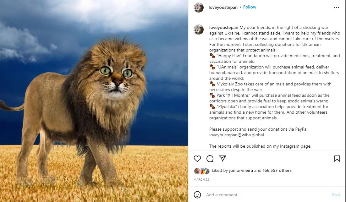 Stepan resolveu aproveitar a visibilidade para ajudar outros animais ucranianos