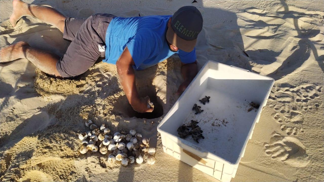 homem deitado na areia olhando tartarugas que nasceram em caucaia