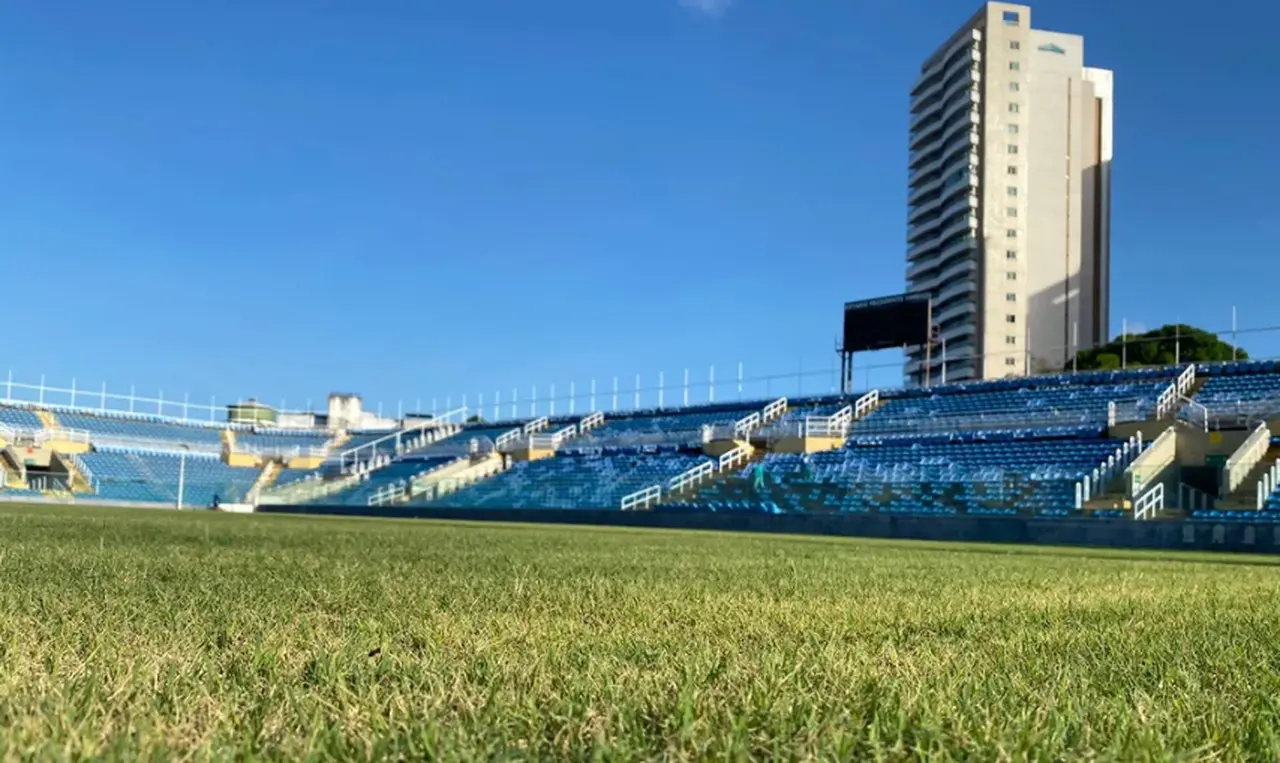 Imagem do gramado do PV