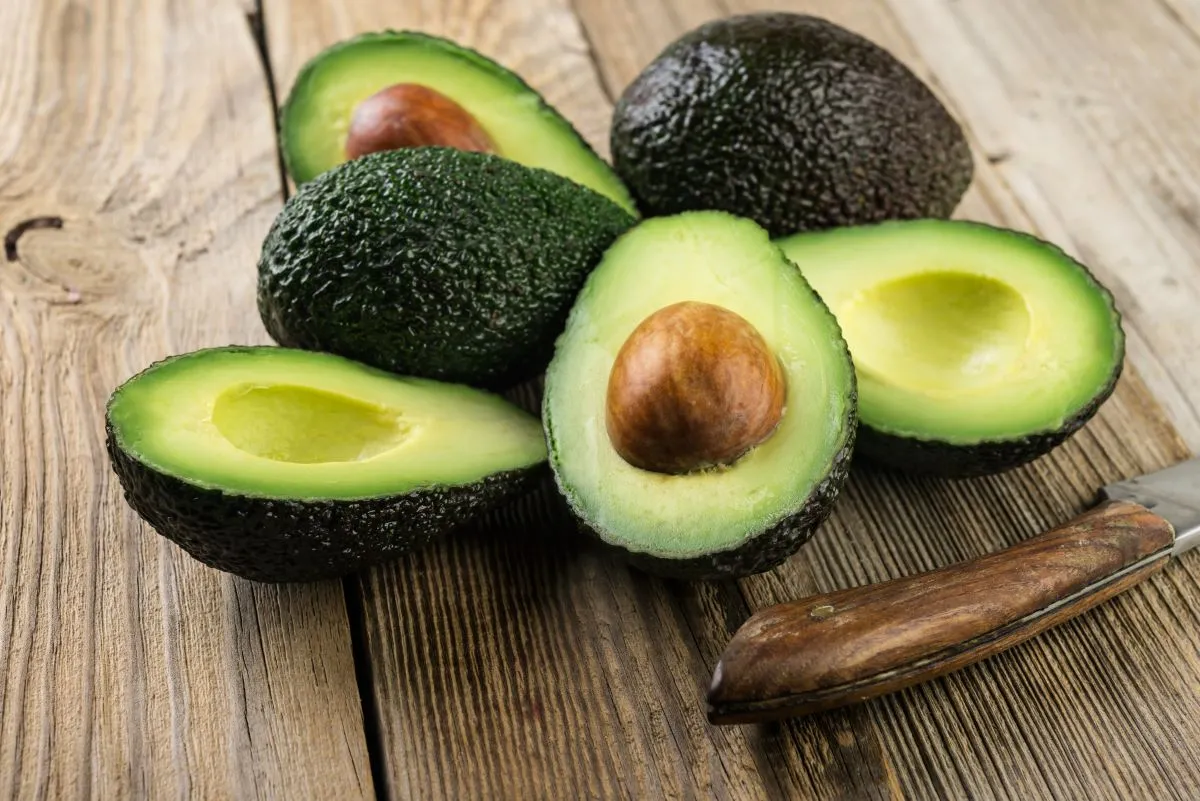 O avocado é um cruzamento entre espécies mexicanas e guatemalenses